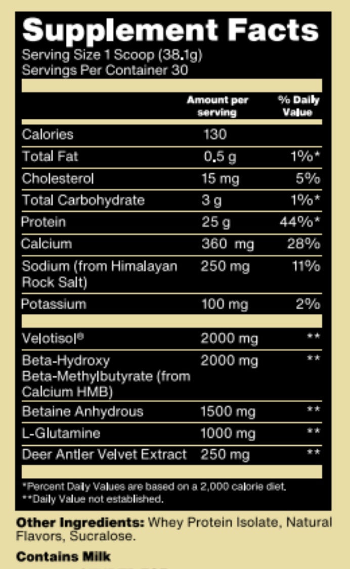 Absolute Unit - Recovery