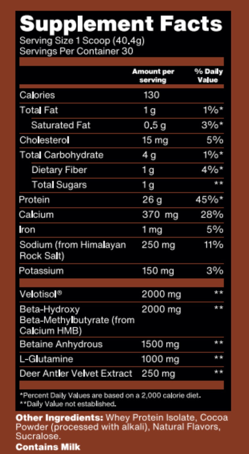 Absolute Unit - Recovery