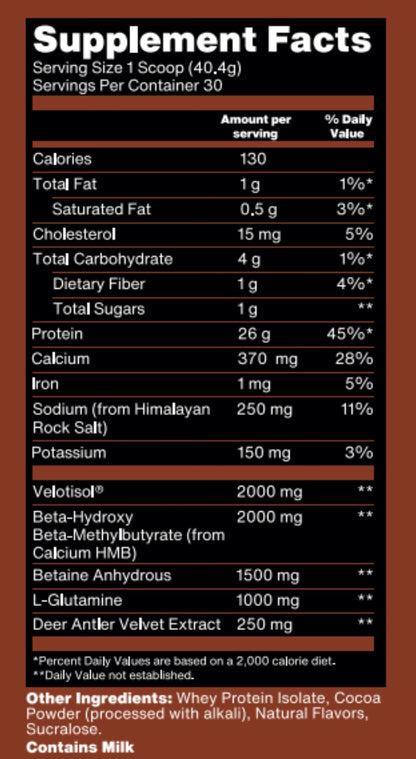 Absolute Unit - Recovery