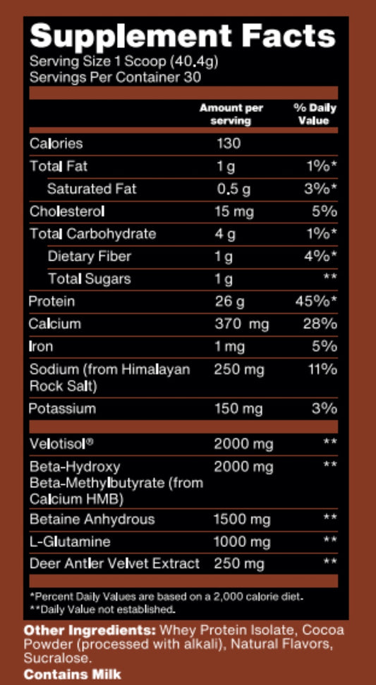 Absolute Unit - Recovery