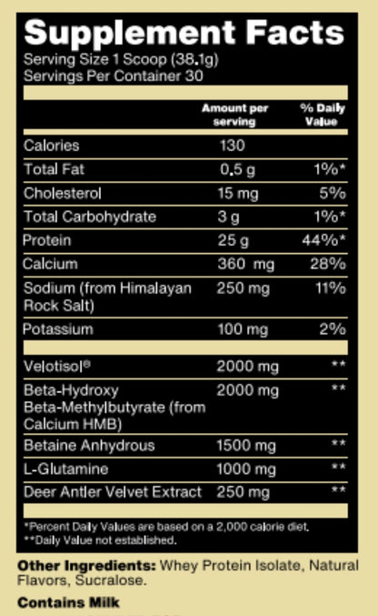 Absolute Unit - Recovery